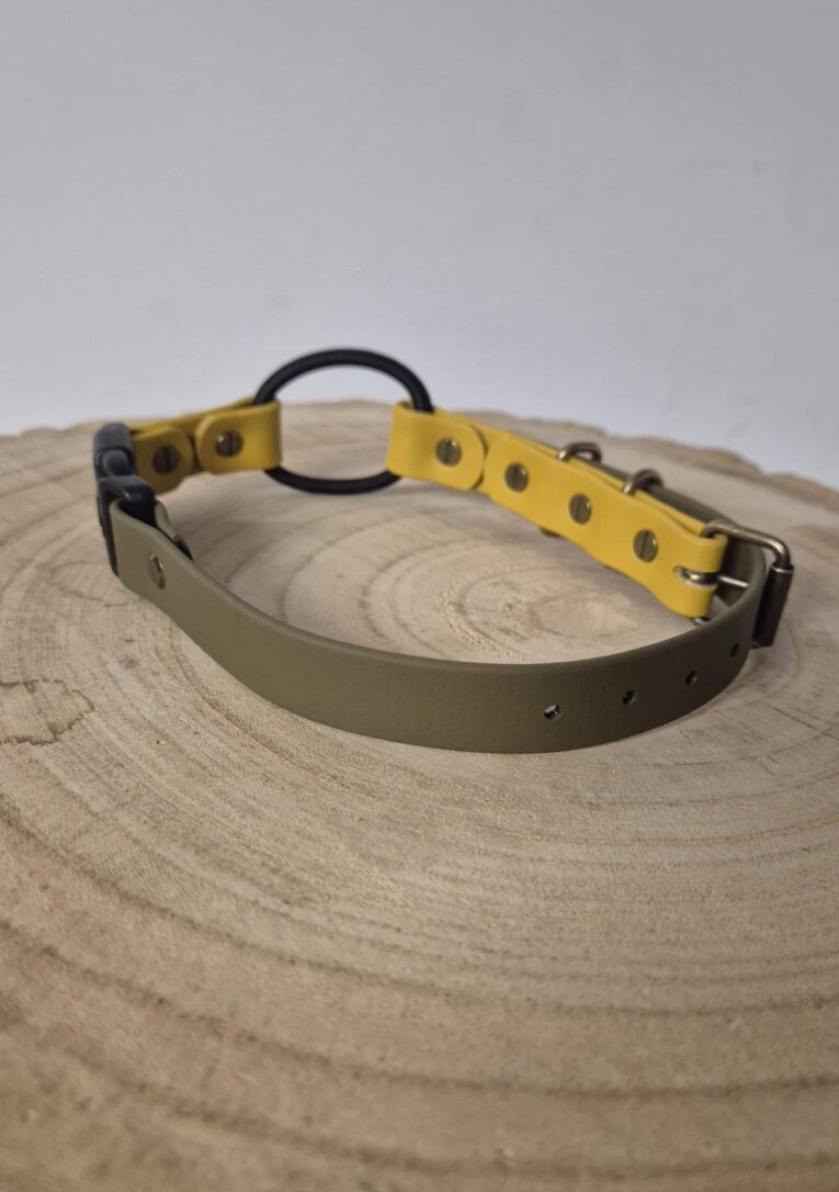 Quick-snap bungee collar with lockable buckle in cream and yellow BioThane straps on wooden surface.
