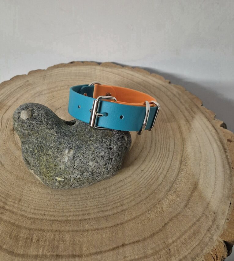 Bright blue and orange BioThane centre ring dog collar with nickel hardware, displayed on natural wood.