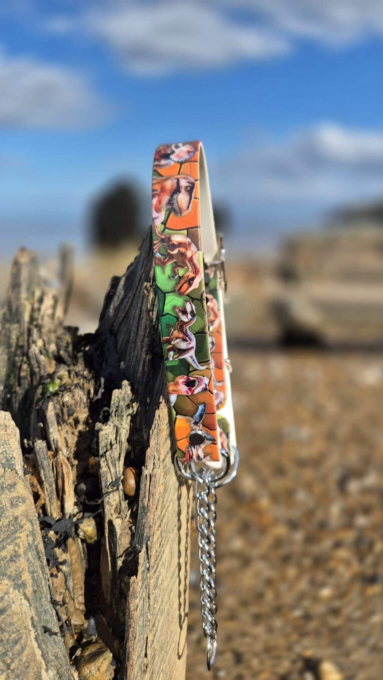 Adjustable martingale half-check collar in printed BioThane, displayed on weathered wood by the shore.