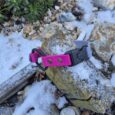 Bright pink quick-snap bungee collar strap with lockable buckle, displayed on a lichen-covered rock outdoors.