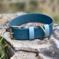 Teal extra wide BioThane collar with light blue accents and antique brass hardware, displayed on weathered wood.