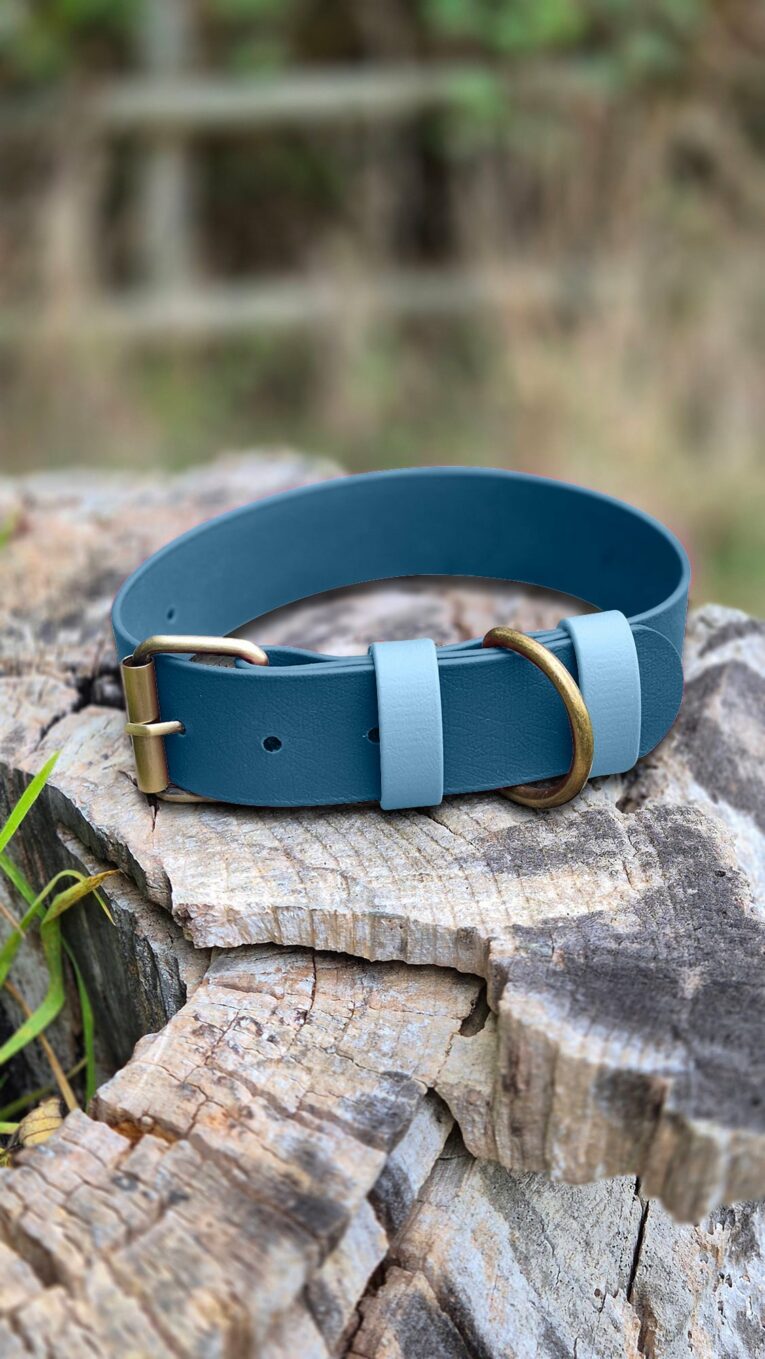 Teal extra wide BioThane collar with light blue accents and antique brass hardware, displayed on weathered wood.