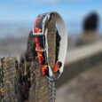 Fire-print adjustable martingale half-check collar with stainless steel hardware, displayed on weathered wood against coastal backdrop.