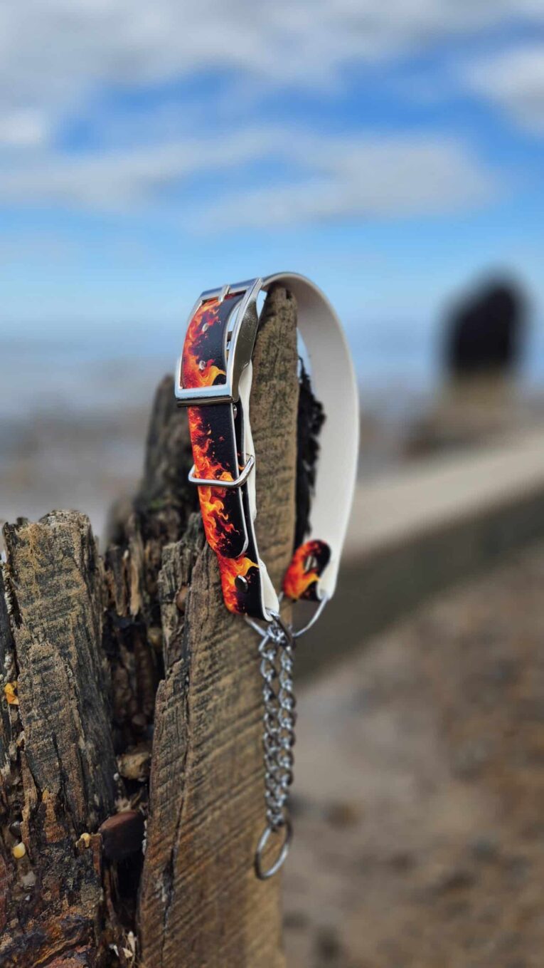 Fire-print adjustable martingale half-check collar with stainless steel hardware, displayed on weathered wood against coastal backdrop.