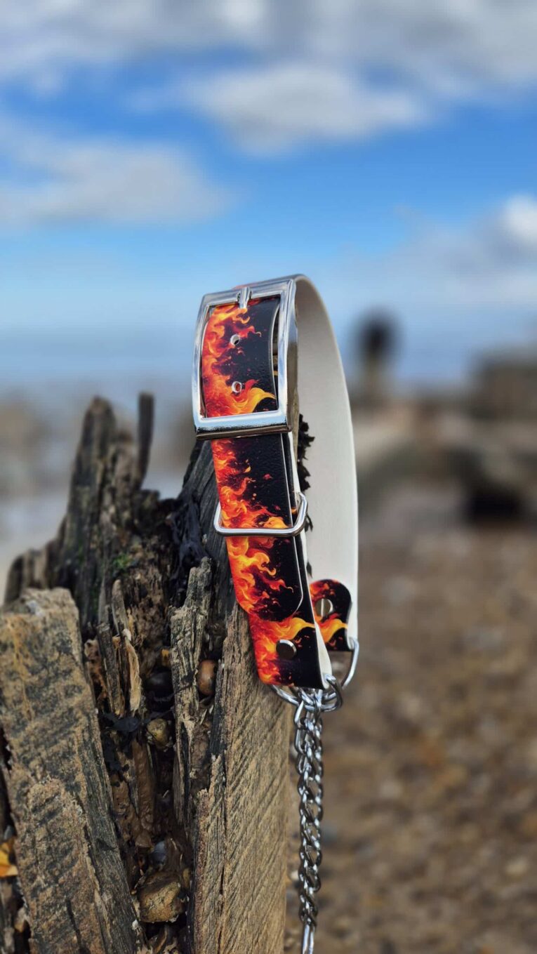 Flames-printed adjustable martingale half-check collar with stainless steel hardware, displayed on weathered wood against coastal backdrop.
