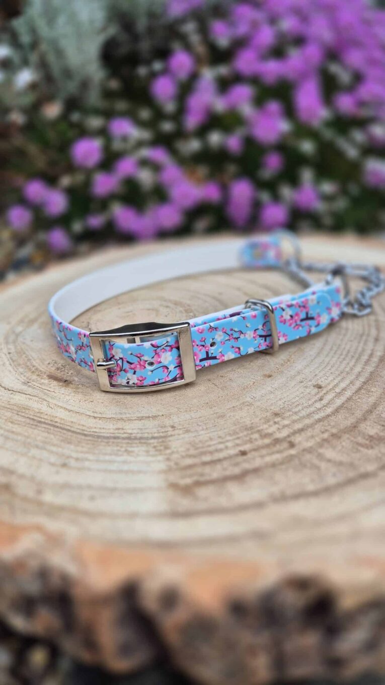 Adjustable BioThane martingale half-check collar with vibrant floral print and nickel hardware, displayed on wooden surface.