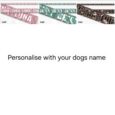 Five personalised printed martingale half-check collars in pink, green, brown and black designs with custom dog names.