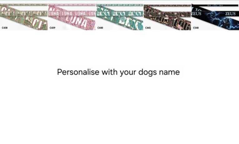 Five personalised printed martingale half-check collars in pink, green, brown and black designs with custom dog names.