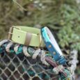 Lime green extra wide BioThane collar with brass hardware and blue matching lead, displayed on weathered rope.