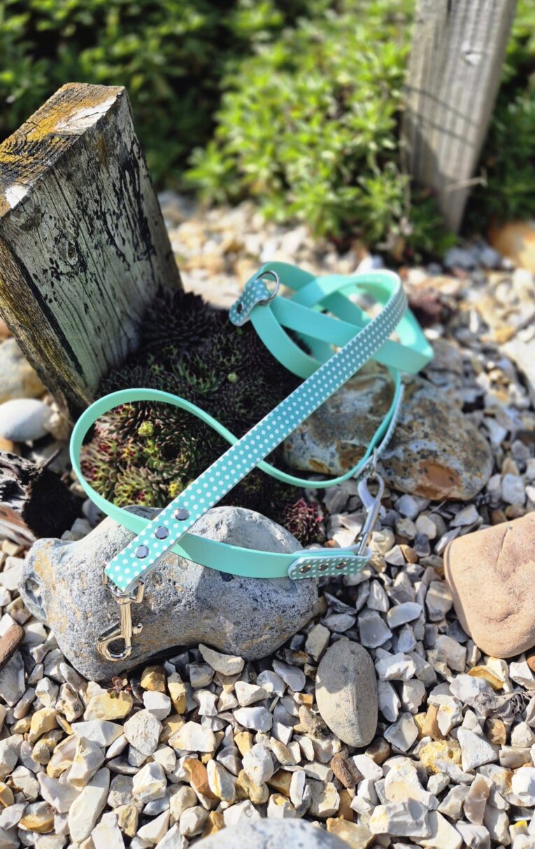 Turquoise polka dot double-ended lead with brass clasps draped over garden stones and moss.