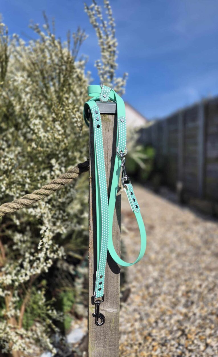 Mint green polka dot double-ended lead with BioThane straps and metal clasps, displayed on wooden post.