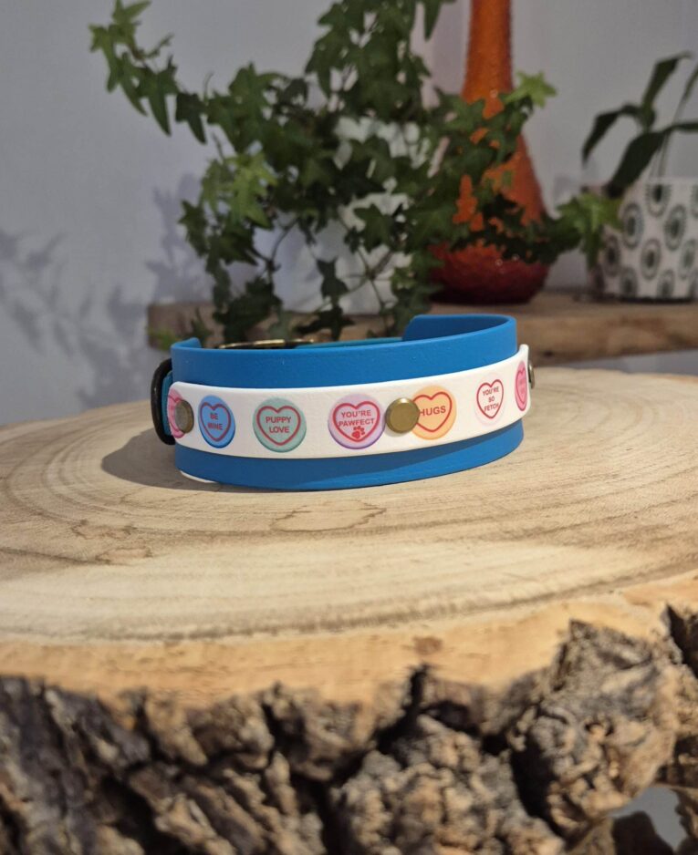Blue BioThane printed double layer hound collar with candy heart design and brass hardware, displayed on wooden surface.