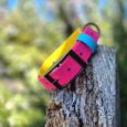 Colourful tapered hound collar in pink, blue and yellow displayed on weathered wood against blurred garden backdrop.