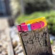 Bright pink and yellow tapered hound collar with light blue nameplate detail, displayed on weathered wood.