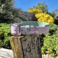 Lavender and sage double layer hound collar with stainless steel hardware, displayed on weathered wood in a sunlit garden.