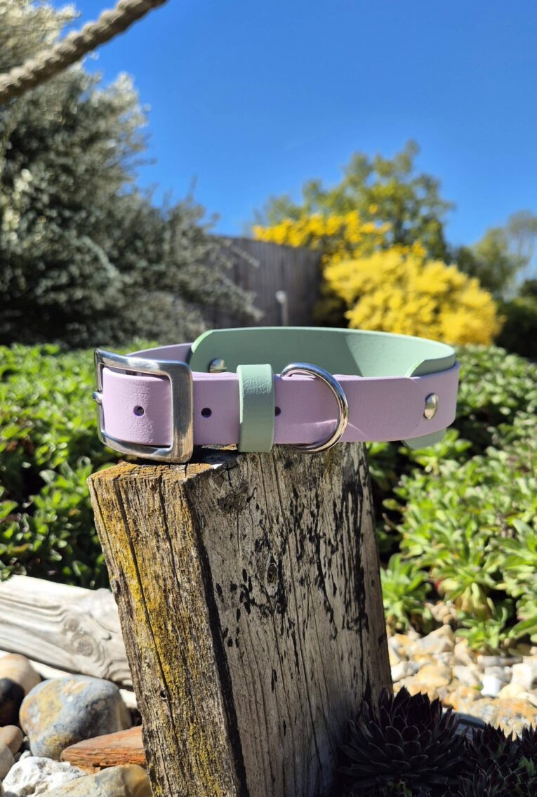 Lavender and sage double layer hound collar with stainless steel hardware, displayed on weathered wood in a sunlit garden.