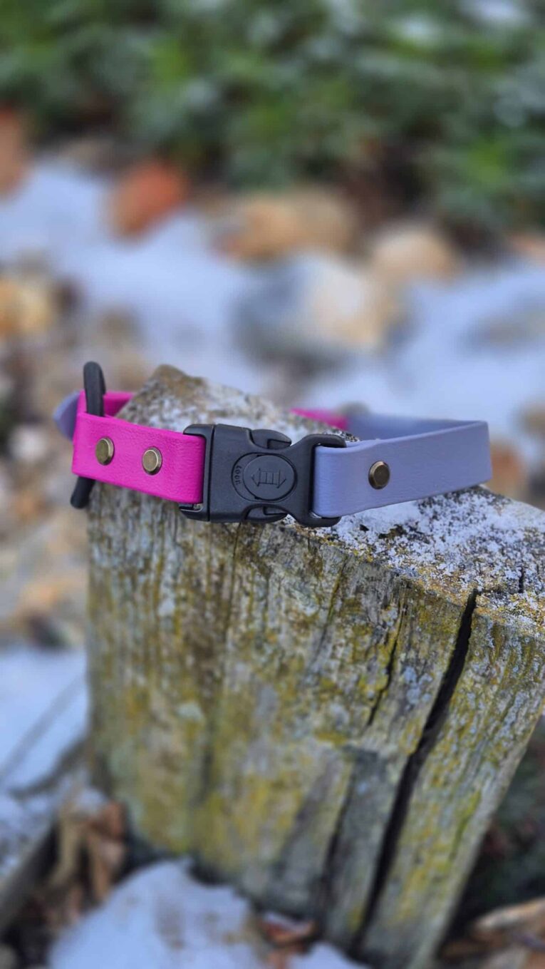 Vibrant pink and lavender quick-snap bungee collar strap with lockable buckle, displayed on weathered wood.