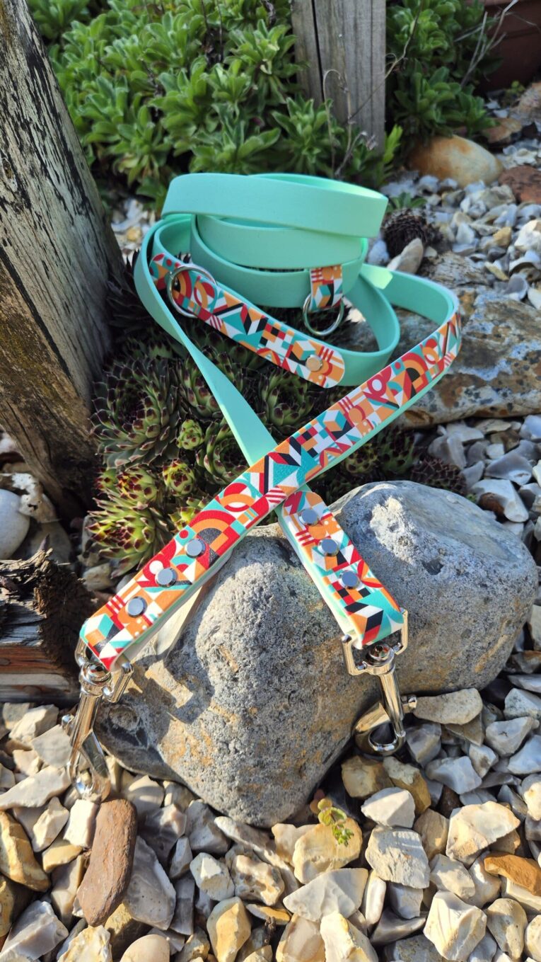 Turquoise BioThane double-ended training lead with vibrant patterned printed accent webbing and brass hardware clasps.