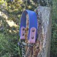 Periwinkle BioThane martingale half check collar with pink tabs and chain detail, displayed on weathered wood post.