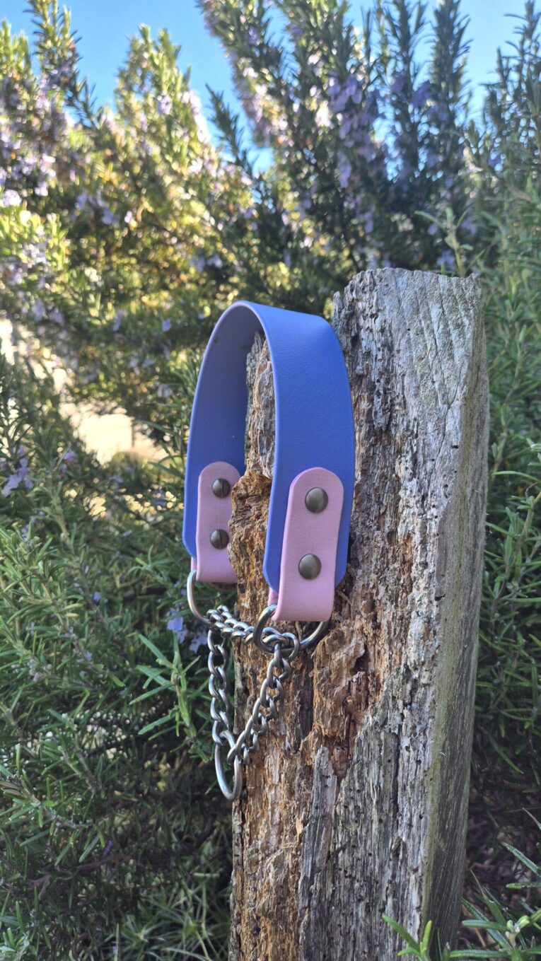 Periwinkle BioThane martingale half check collar with pink tabs and chain detail, displayed on weathered wood post.