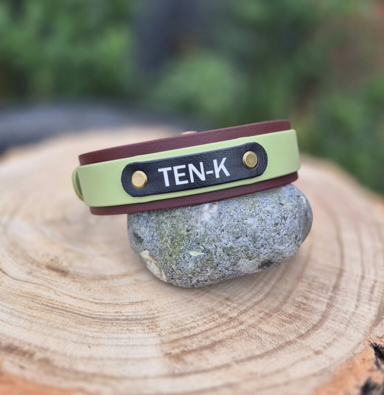 Personalised BioThane hound collar with TEN-K nameplate in sage green and burgundy, displayed on stone.