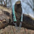 Printed half-slip martingale collar in turquoise with silver chain and hardware, displayed on weathered wood.