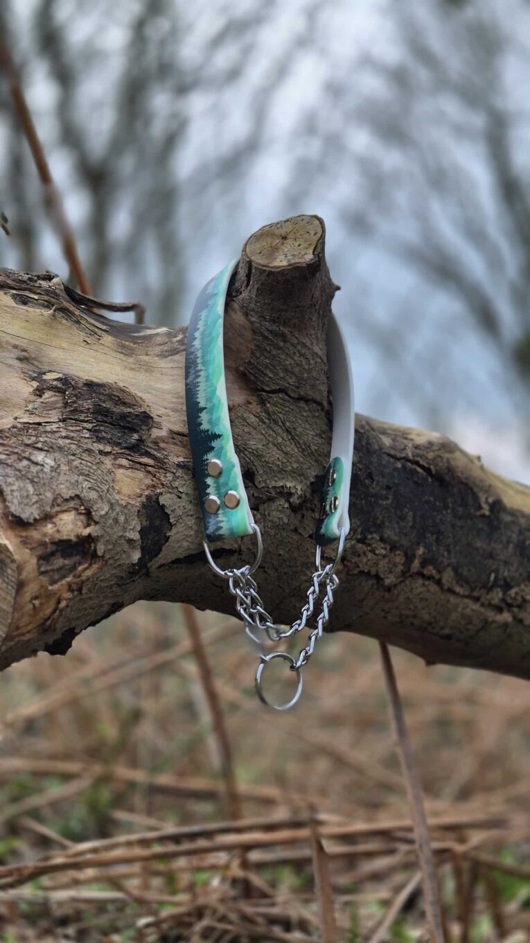 Printed half-slip martingale collar in turquoise with silver chain and hardware, displayed on weathered wood.