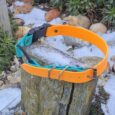 Vibrant orange and turquoise quick-snap bungee collar strap with lockable buckle, displayed on weathered wood.