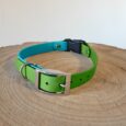 Bright lime green and turquoise BioThane quick-snap collar strap with nickel hardware, displayed on wooden surface.