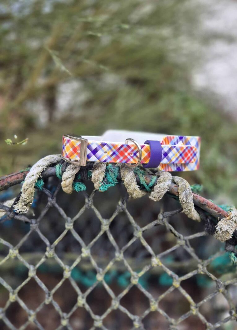 Printed tapered hound collar in vibrant tartan pattern displayed on weathered rope, showcasing waterproof BioThane design.