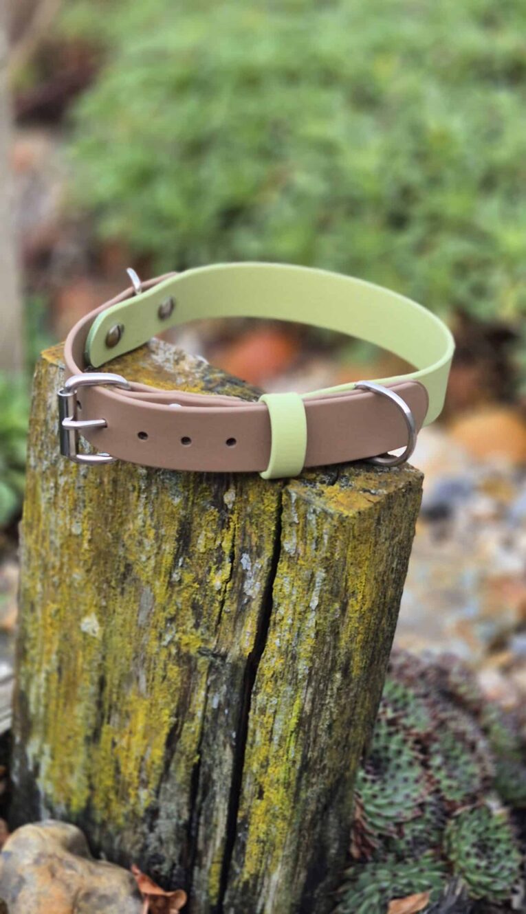 Two-tone BioThane dog collar in cream and brown with metal hardware, displayed on a moss-covered post.