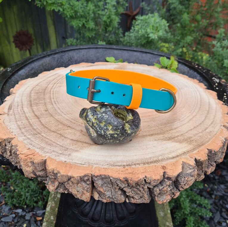 Bright blue and orange BioThane dog collar with metal hardware displayed on wood slice in garden setting.