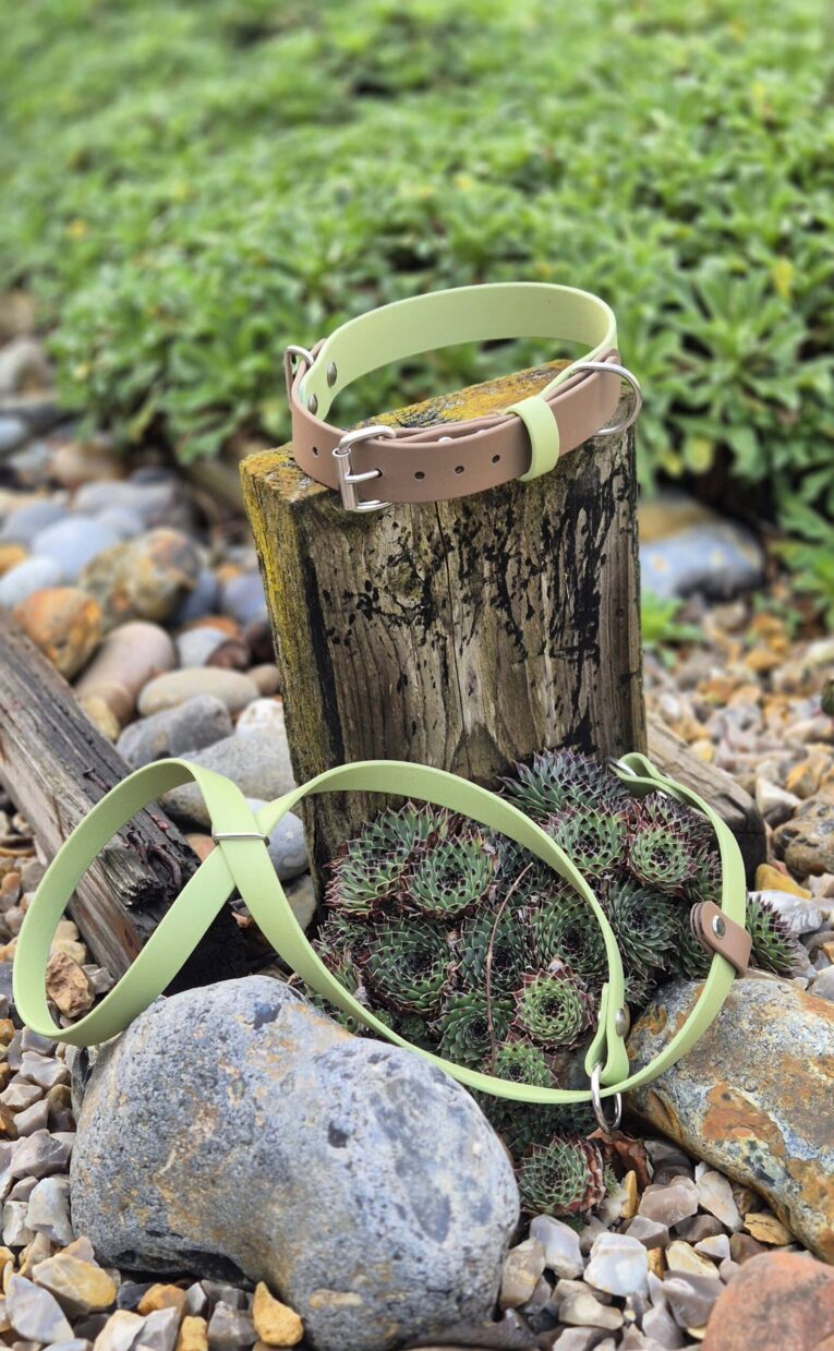 Waterproof figure of eight head collar in lime green and brown BioThane with nickel hardware, displayed on weathered wood in natural setting.