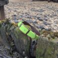 Bright green waterproof double layered dog collar draped on moss-covered wooden post at coastal beach setting.