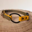 Quick-snap bungee dog collar in mustard yellow and sage green BioThane with black bungee cord and antique brass hardware.