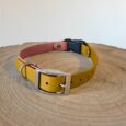 Quick-snap customisable dog collar strap in mustard yellow and coral pink BioThane with nickel hardware, displayed on wooden surface.