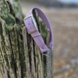 Lavender BioThane adjustable martingale half-check collar with brass buckle on weathered coastal post.