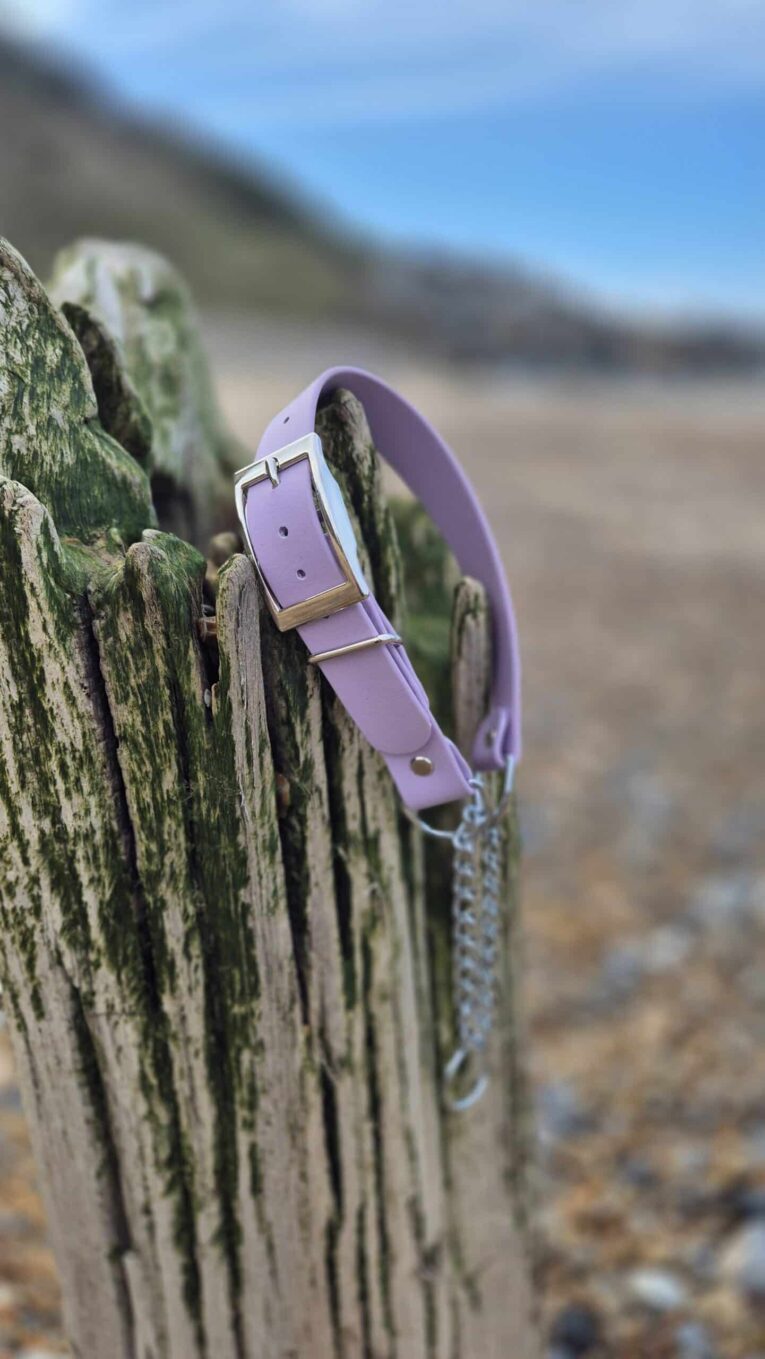 Lavender BioThane adjustable martingale half-check collar with brass buckle on weathered coastal post.