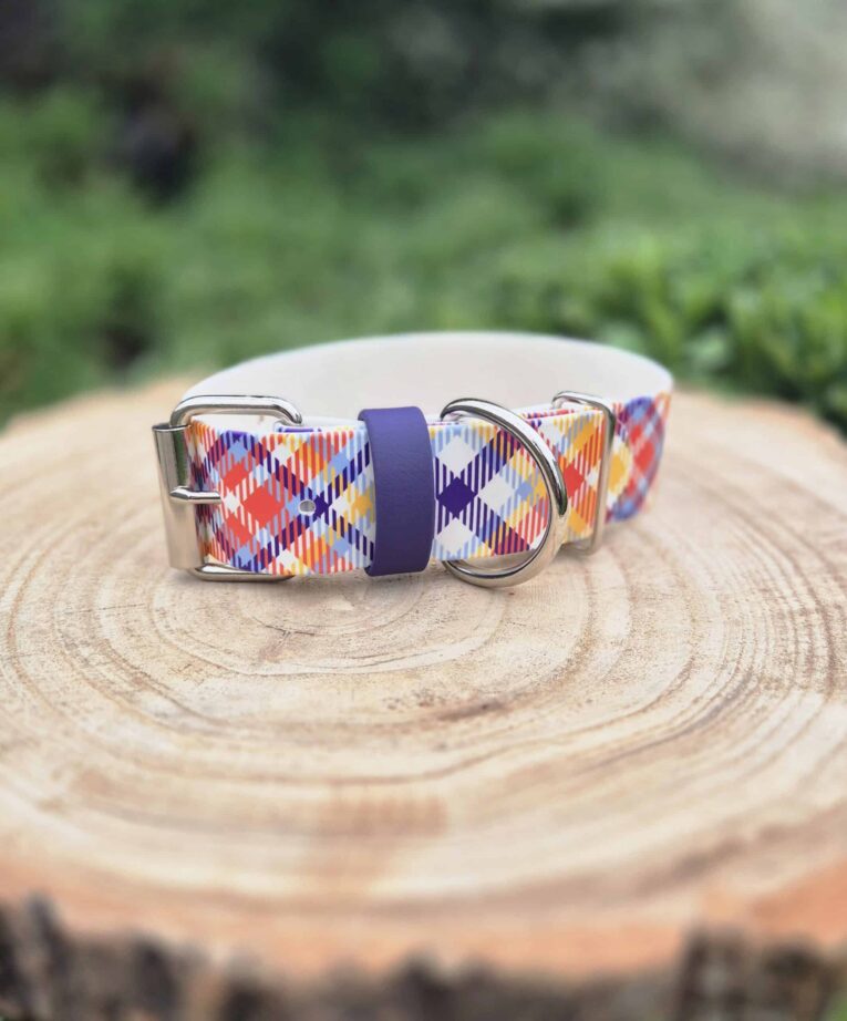 Waterproof tartan dog collar with navy hardware displayed on natural wood, featuring colourful diamond print design.