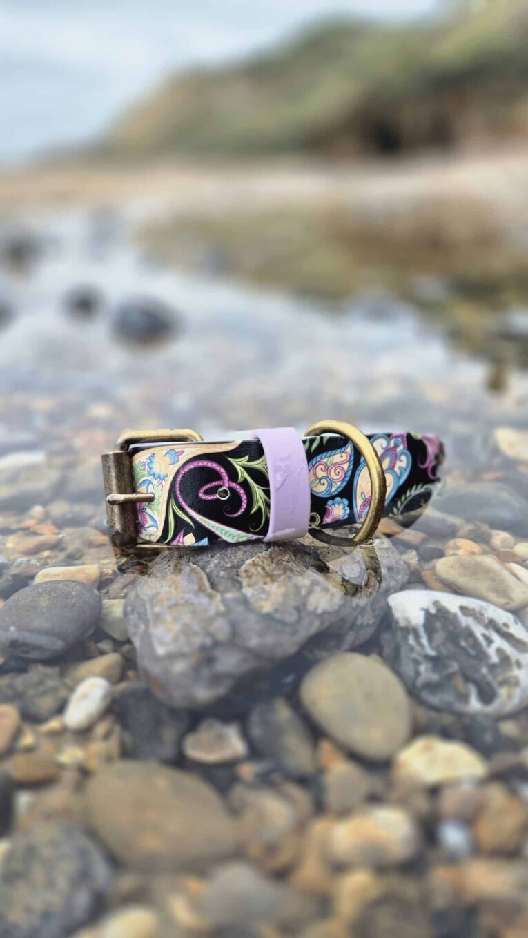 Waterproof wide floral printed BioThane collar with lavender strap and antique brass hardware, positioned on coastal rocks.