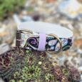 Extra wide printed BioThane collar in vibrant floral pattern with purple binding and antique brass hardware, displayed on succulent plant.