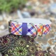 Colourful tartan-print extra wide waterproof BioThane collar with purple keeper and stainless steel hardware, displayed on succulent plants.