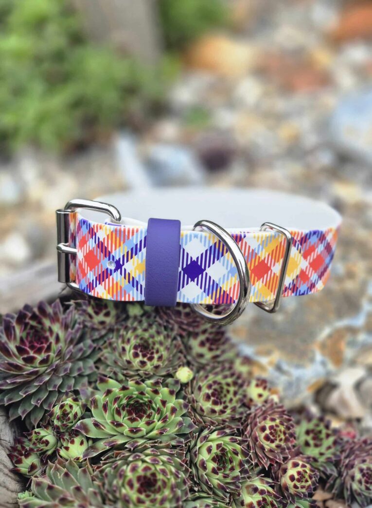Colourful tartan-print extra wide waterproof BioThane collar with purple keeper and stainless steel hardware, displayed on succulent plants.
