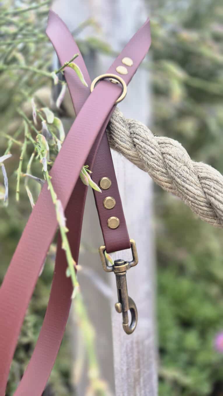 Pink custom BioThane lead with antique brass hardware, rope attachment, and nature background.