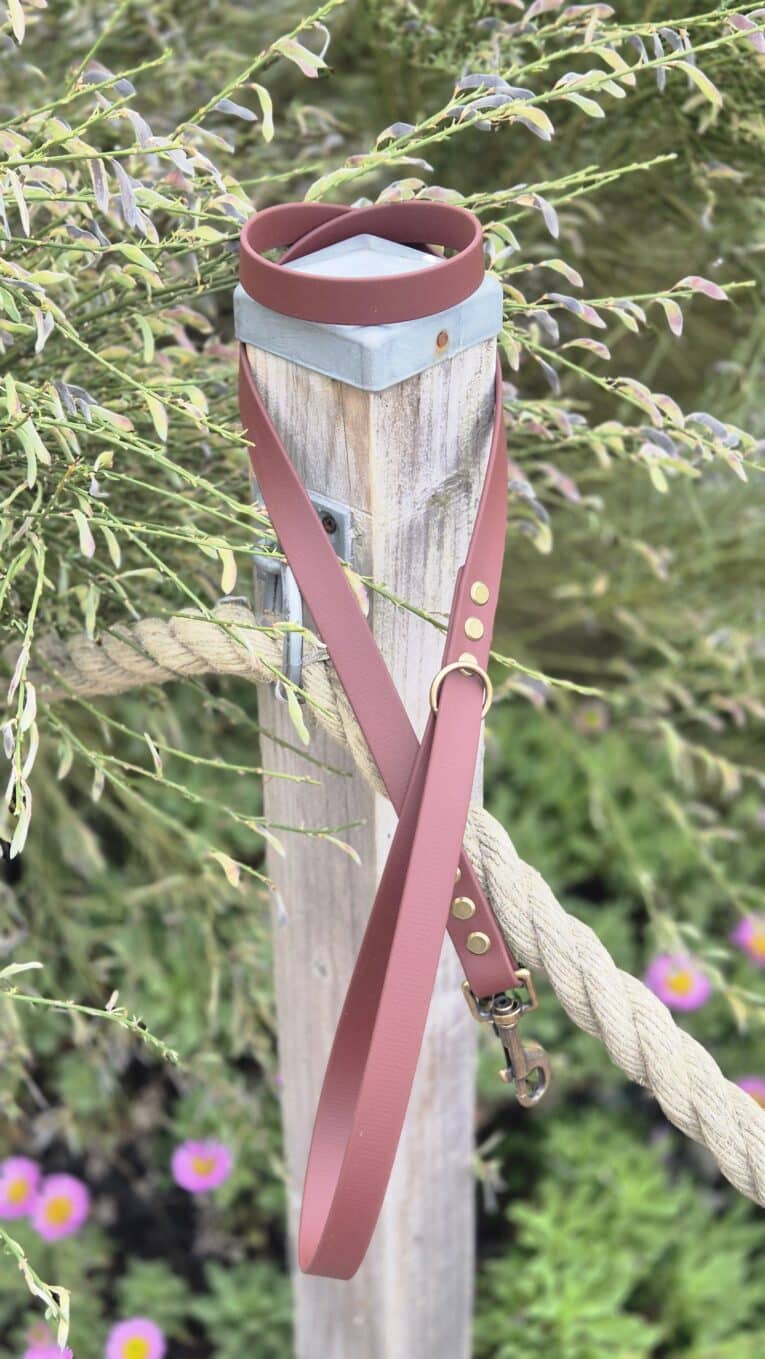 Custom Biothane lead in dusty rose with antique brass hardware, displayed on wooden post amongst garden foliage.