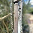 Printed BioThane waterproof lead with patterned accent straps and antique brass hardware, displayed outdoors.