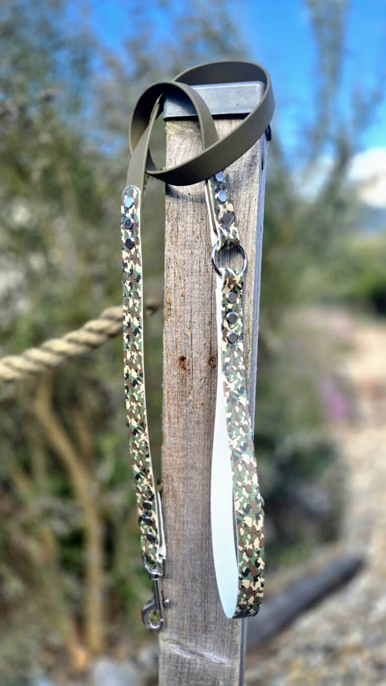 Printed BioThane waterproof lead with patterned accent straps and antique brass hardware, displayed outdoors.