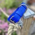 Bright blue extra wide BioThane collar with antique brass hardware, displayed on a wooden post in a garden setting.