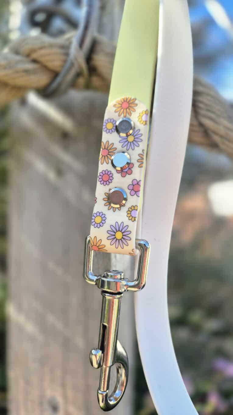 Floral printed BioThane lead with colourful daisy design and antique brass hardware detail.