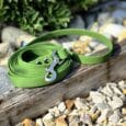 Bright green waterproof longline coiled on weathered wood, featuring nickel hardware and textured BioThane surface, with garden flowers behind.